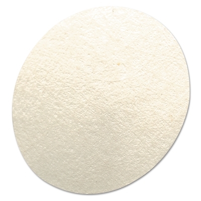 Hydrophobic Filter MPN:710917