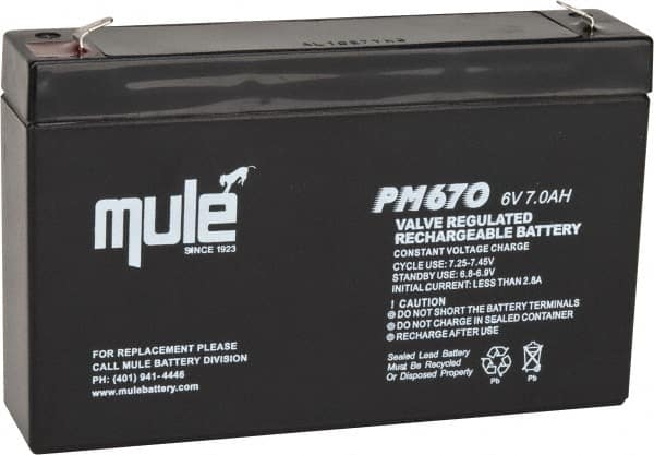 Rechargeable Lead Battery: 6V, Quick-Disconnect Terminal MPN:PM670