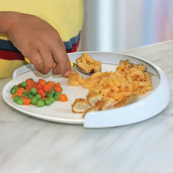 Example of GoVets my Plate Mate brand