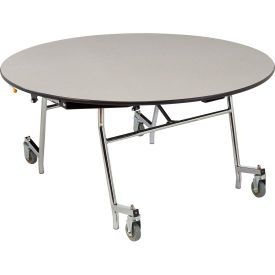 NPS® Mobile EasyFold Table 48