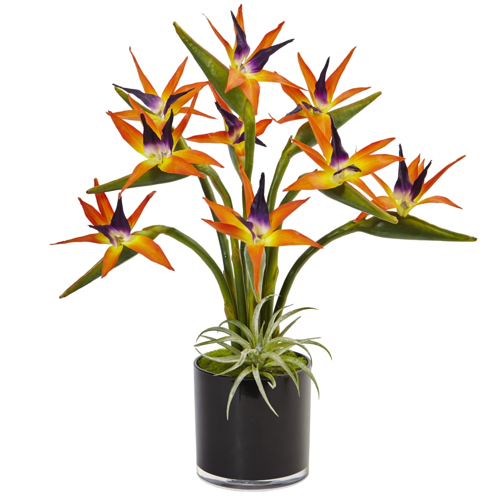 Nearly Natural Bird Of Paradise 24inH Plastic Silk Floral Arrangement With Black Glossy Cylinder Planter, 24inH x 20-1/2inW x 20-1/2inD, Orange MPN:1466