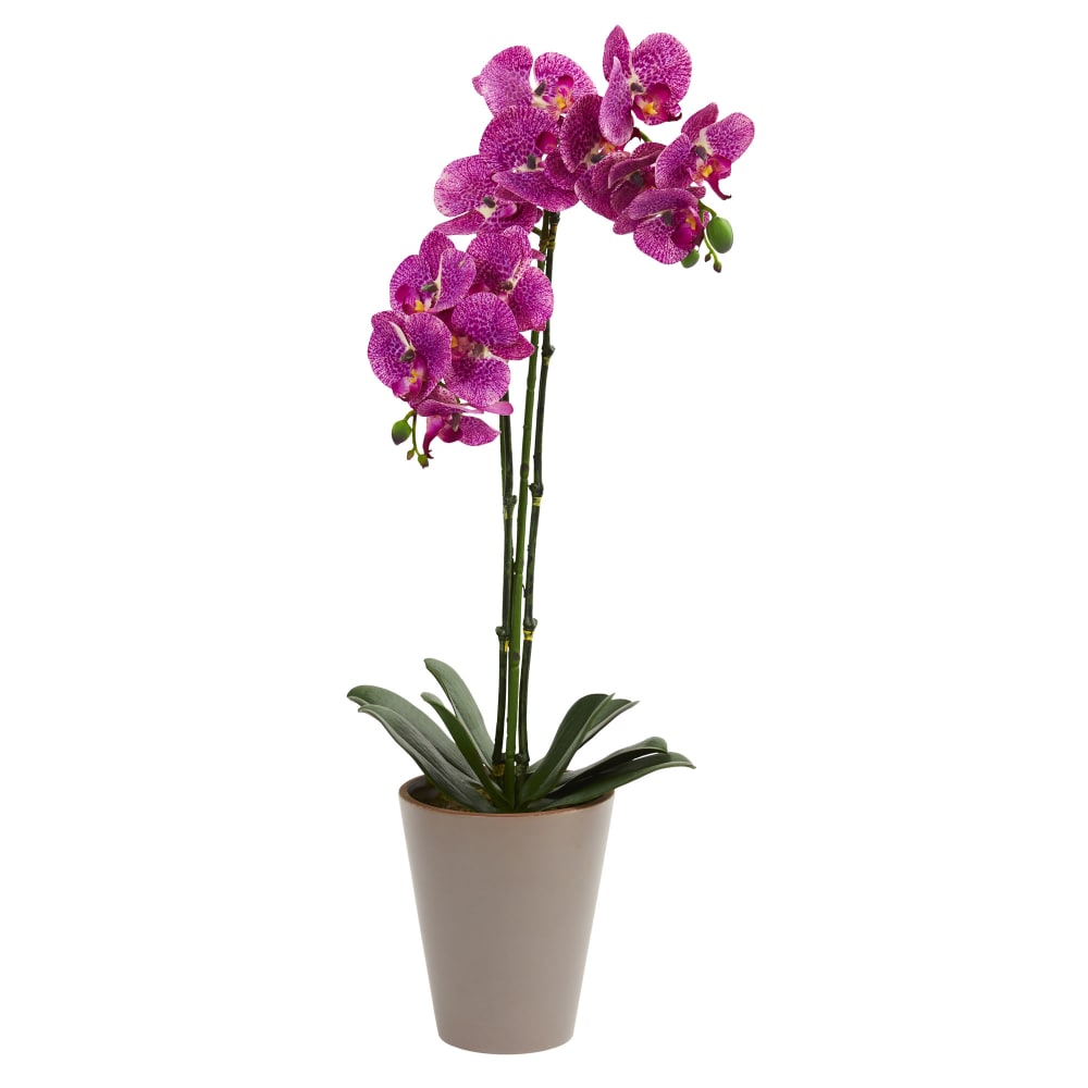 Nearly Natural Speckled Phalaenopsis Orchid 24inH Artificial Floral Arrangement With Vase, 24inH x 10-1/2inW x 6inD, Purple MPN:4246