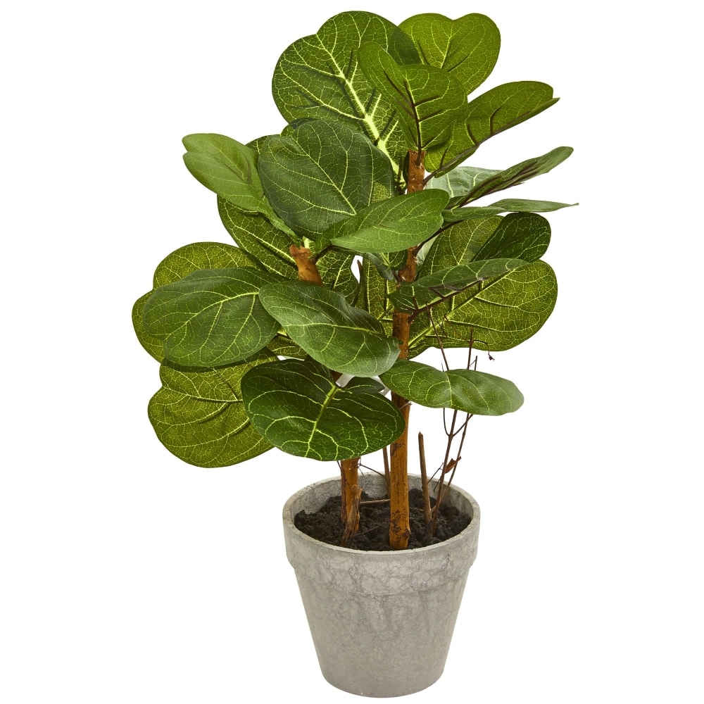 Nearly Natural Fiddle Leaf 22inH Artificial Plant Arrangement With Planter, 22inH x 11inW X 13inD, Green MPN:4353