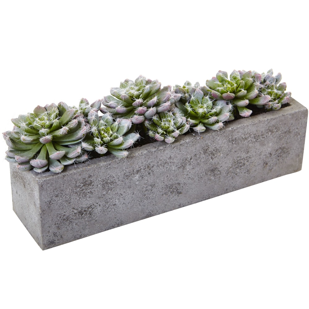 Nearly Natural Succulent 5-1/2inH Plastic Garden With Textured Concrete Planter, 5-1/2inH x 13-1/2inW x 4-1/2inD, Green MPN:4544
