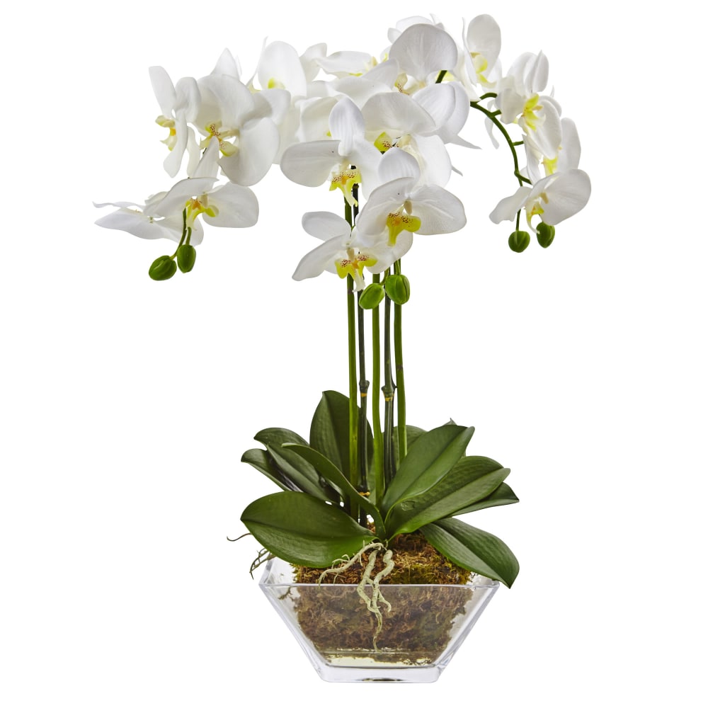 Nearly Natural 22inH Artificial Triple Phalaenopsis Orchid With Glass Vase, White/Clear MPN:4570