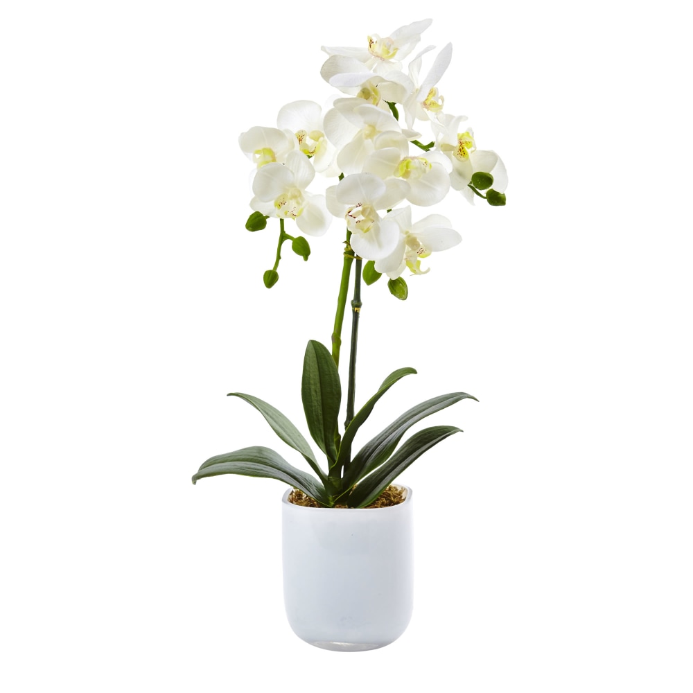 Nearly Natural Phalaenopsis Orchid 18-1/2inH Plastic Floral Arrangement With Frosted Glass Vase, 18-1/2inH x 8inW x 5inD, White MPN:4571