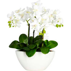 Nearly Natural Phalaenopsis Silk Flower Arrangement 4804