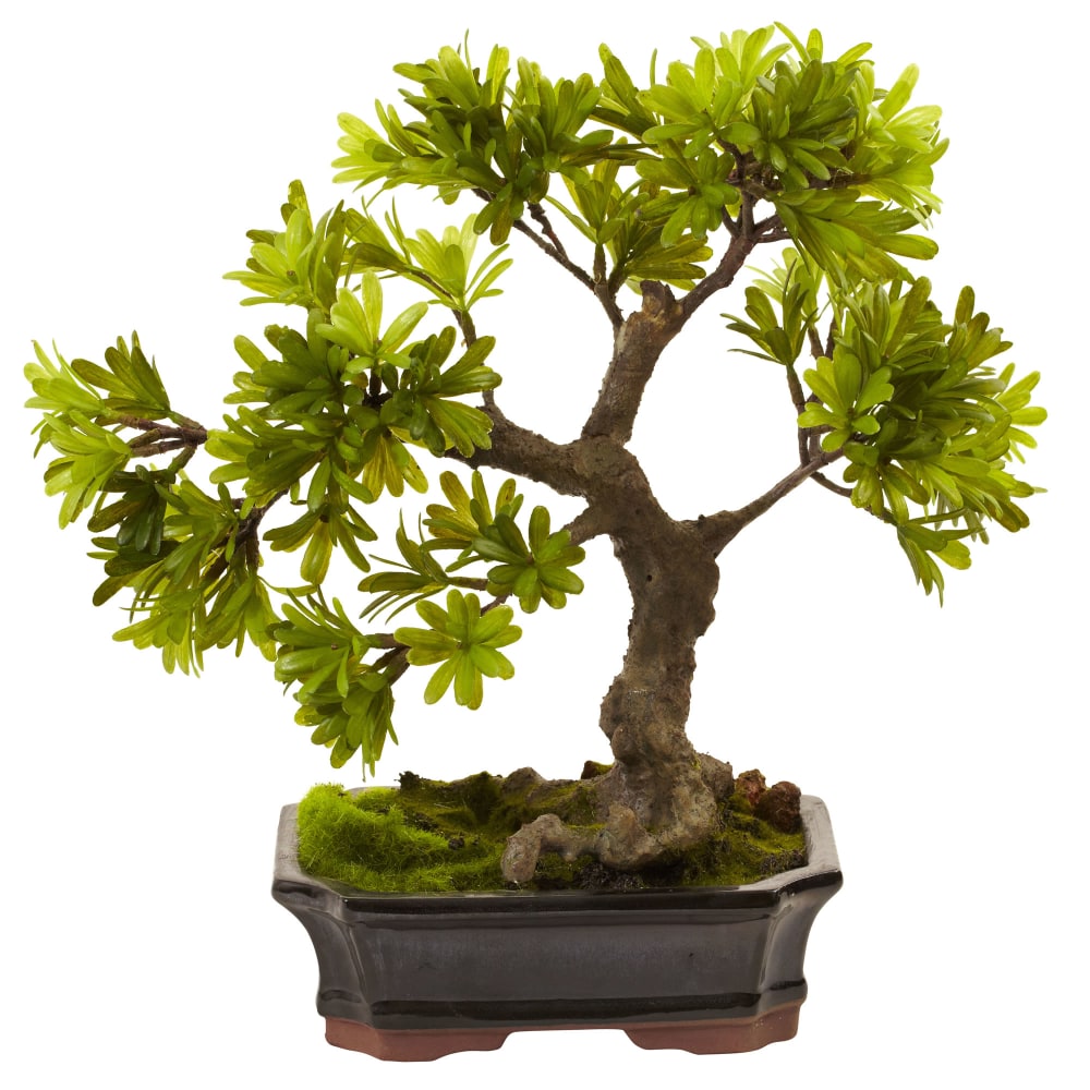 Nearly Natural Podocarpus 14inH Plastic Plant With Mossed Bonsai Planter, 14inH x 14inW x 8-1/2inD, Green MPN:4848