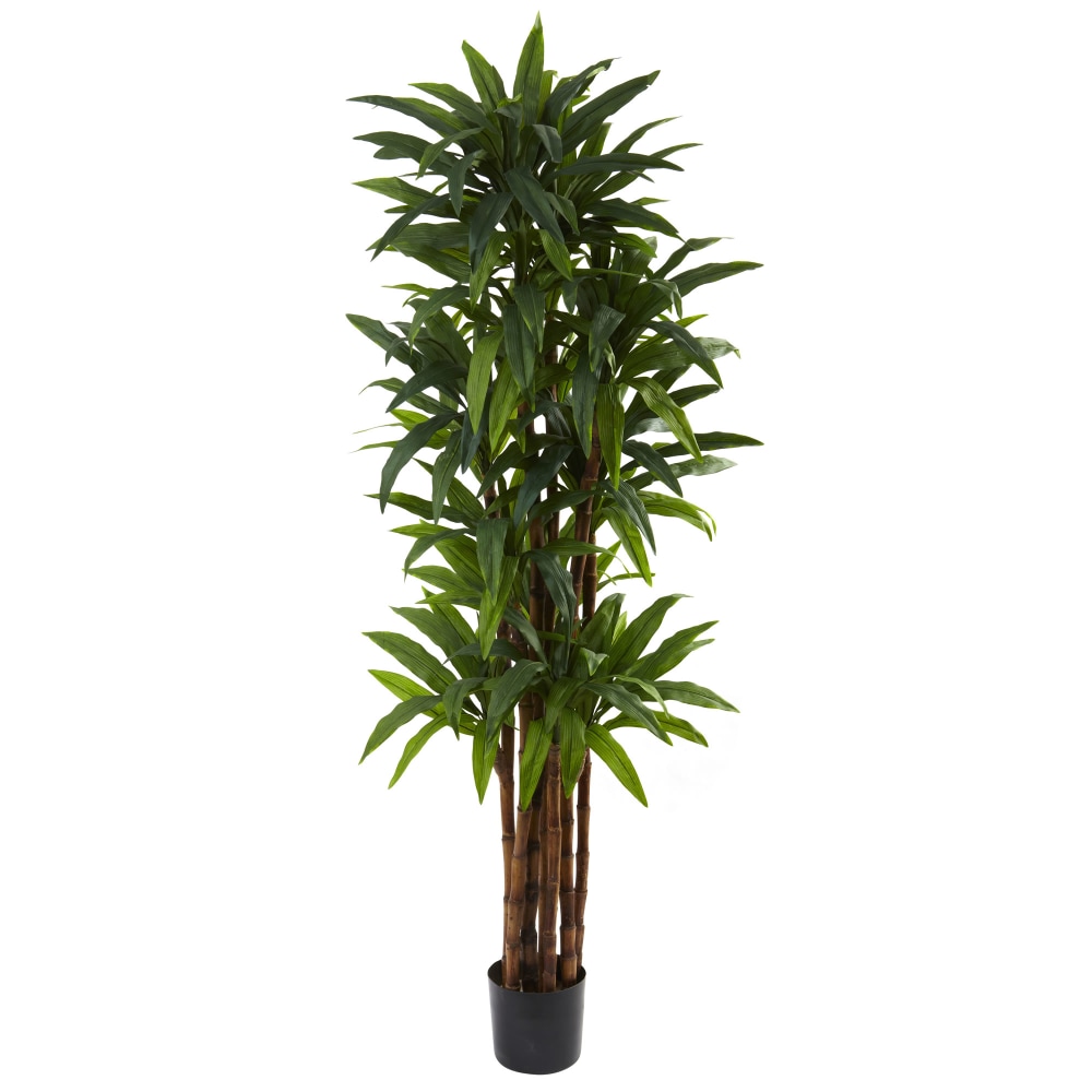 Nearly Natural Dracaena 78inH Plastic Tree With Pot, 78inH x 30inW x 30inD, Green MPN:5403