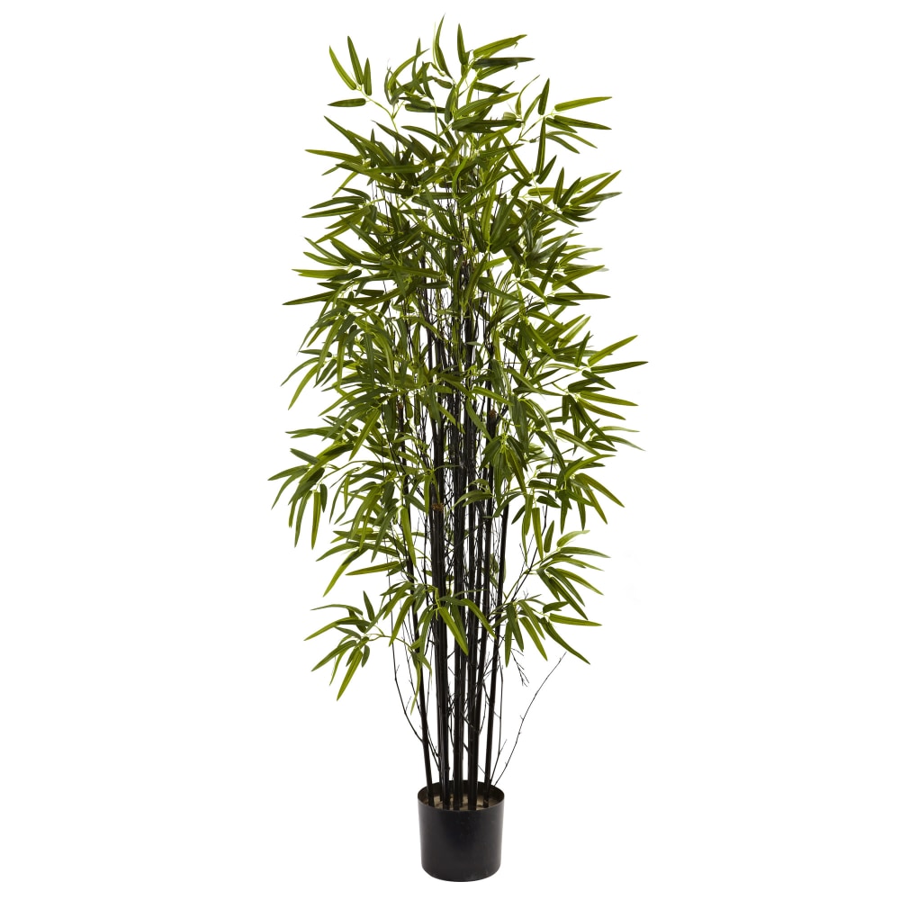Nearly Natural Black Bamboo 60inH Plastic Tree With Pot, 60inH x 31-1/2inW x 31-1/2inD, Green MPN:5418
