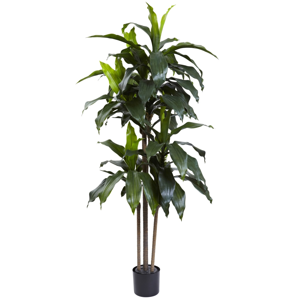 Nearly Natural Dracaena 60inH Plastic UV Resistant Indoor/Outdoor Tree With Pot, 60inH x 31inW x 27inD, Green MPN:5446