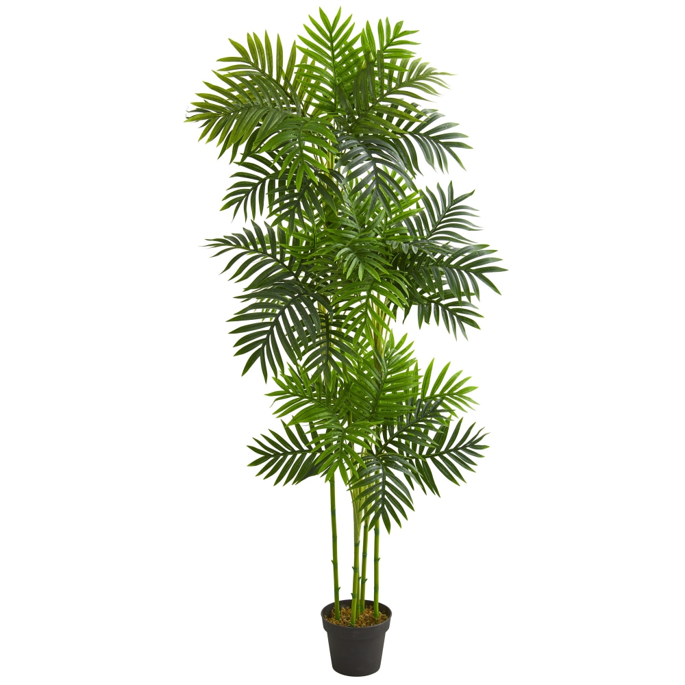 Nearly Natural Phoenix Palm 72inH Artificial Tree With Pot, 72inH x 15inW x 15inD, Green MPN:5537