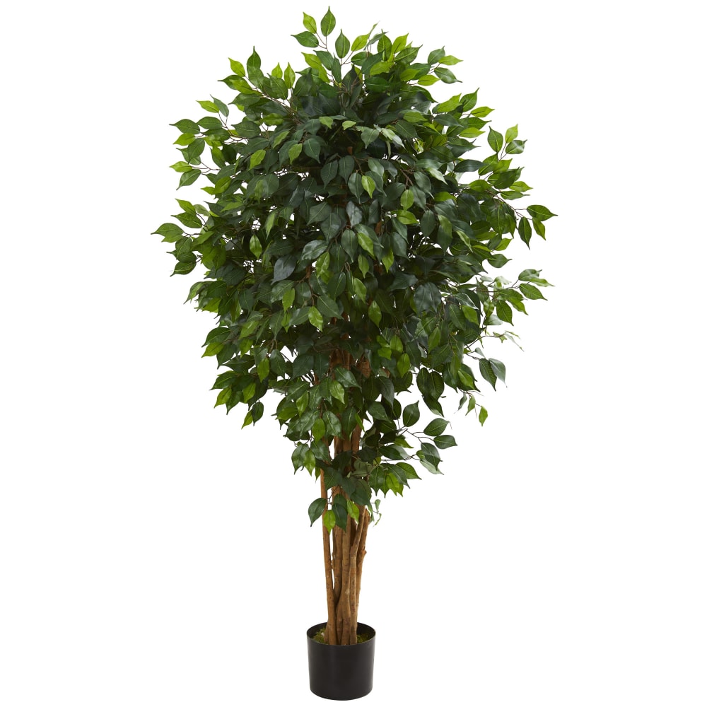 Nearly Natural Ficus 66inH Artificial Tree With Pot, 66inH x 12inW x 12inD, Green MPN:5569