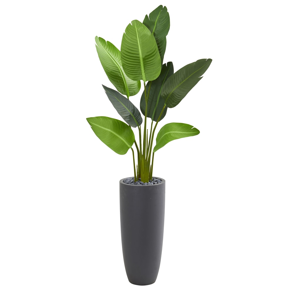 Nearly Natural Travelers Palm 66inH Artificial Tree With Cylinder Planter, 66inH x 28inW x 22inD, Green MPN:5686
