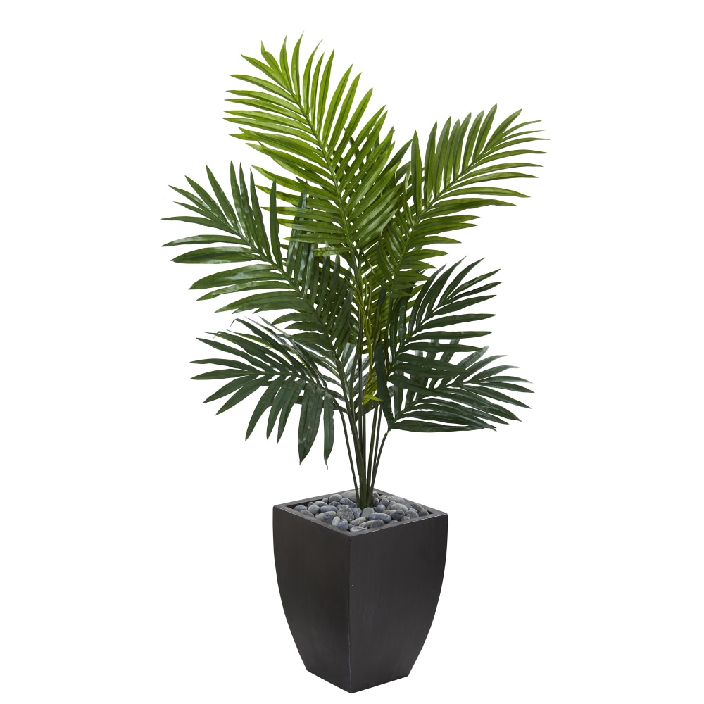 Nearly Natural Kentia Palm 54inH Artificial Tree With Planter, 54inH x 32inW x 32inD, Green MPN:5821