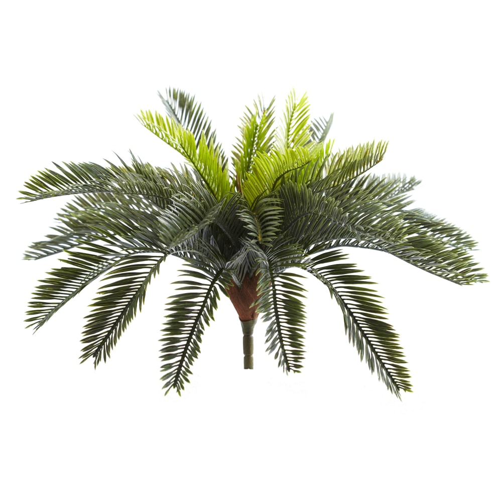 Nearly Natural 13in Artificial Cycas Plants, Green, Set Of 2 Plants MPN:6075-S2