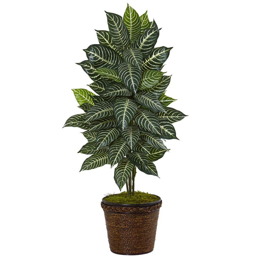 Nearly Natural Zebra 48in Artificial Plant With Coiled-Rope Planter, Green/Brown MPN:6315
