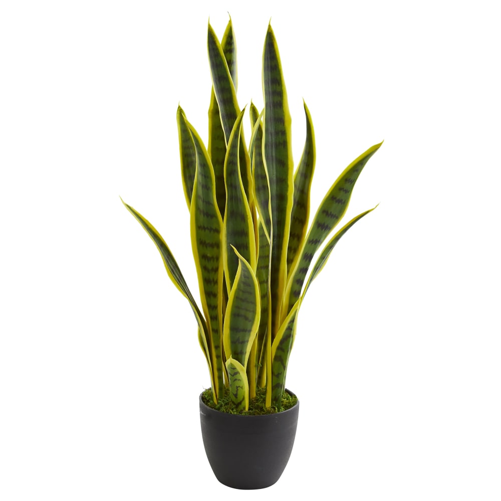 Nearly Natural Sansevieria 26in Artificial Plant With Pot, Green/Black MPN:6349