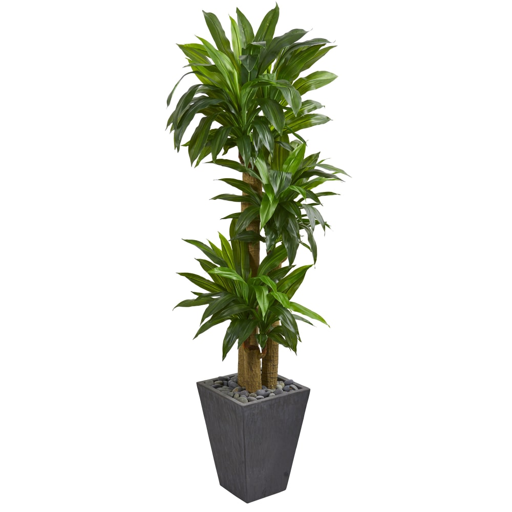 Example of GoVets Artificial Plants category