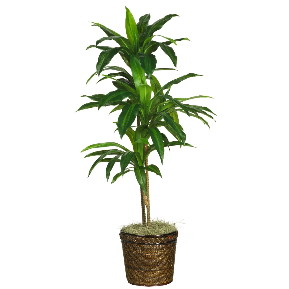 Nearly Natural Dracaena 48inH Silk Real Touch Plant With Basket, 48inH x 22inW x 22inD, Green MPN:6585-0308