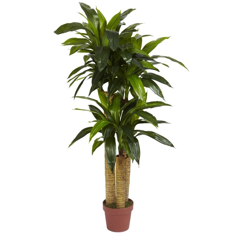 Nearly Natural 4ft Polyester Artificial Dracaena Silk Plant, Green MPN:6648