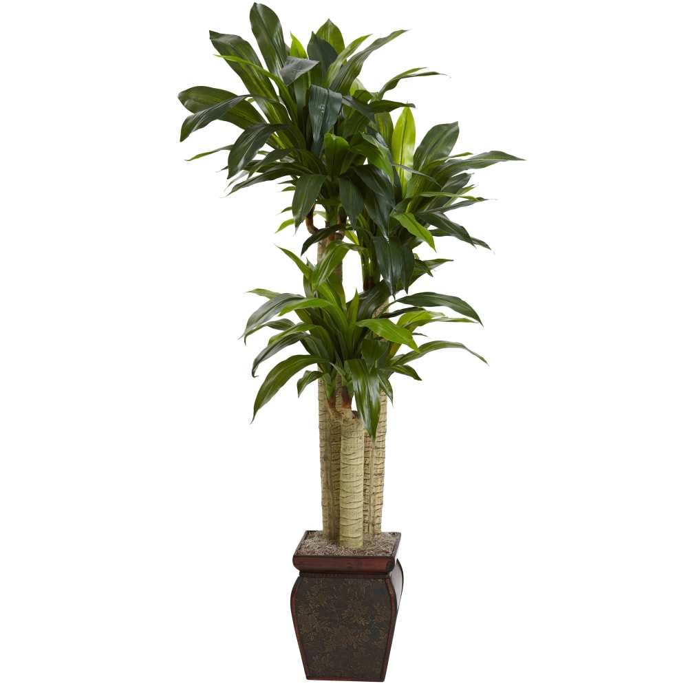 Nearly Natural 4-1/2ftH Artificial Cornstalk Dracaena Plant With Vase, Green/Brown MPN:6670