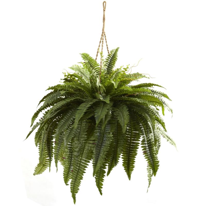 Nearly Natural 29inH Double Giant Boston Fern Hanging Basket, Green/Brown MPN:6788