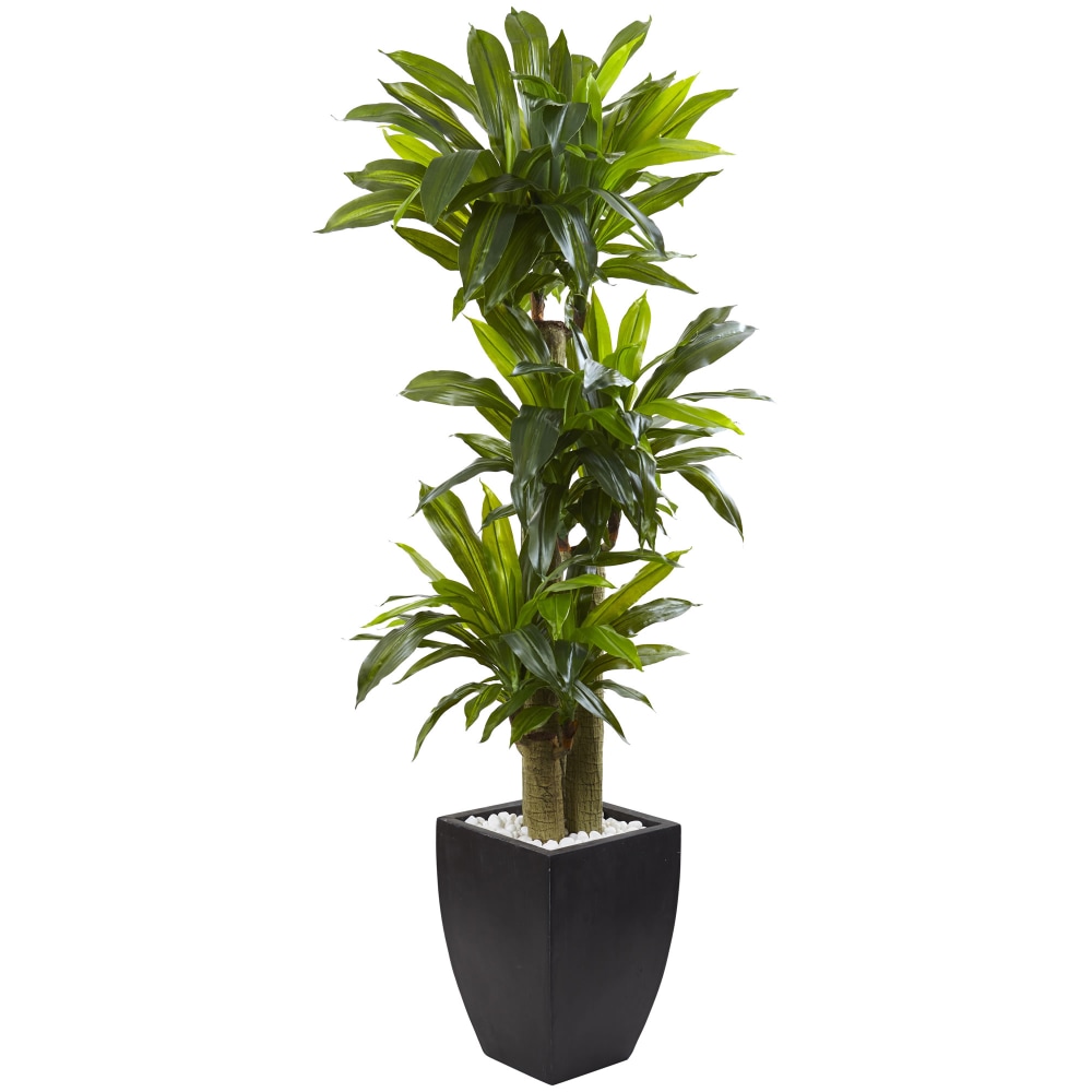 Nearly Natural 5-1/2ftH Polyethylene Cornstalk Dracaena Plant With Clay Planter, Black Wash/Green MPN:6869