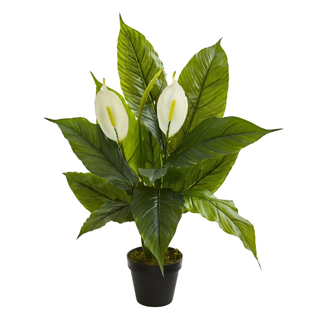 Nearly Natural 26inH Real Touch Spathiphyllum Artificial Plant, 26inH x 13inW x 10inD, Green/Black MPN:8318