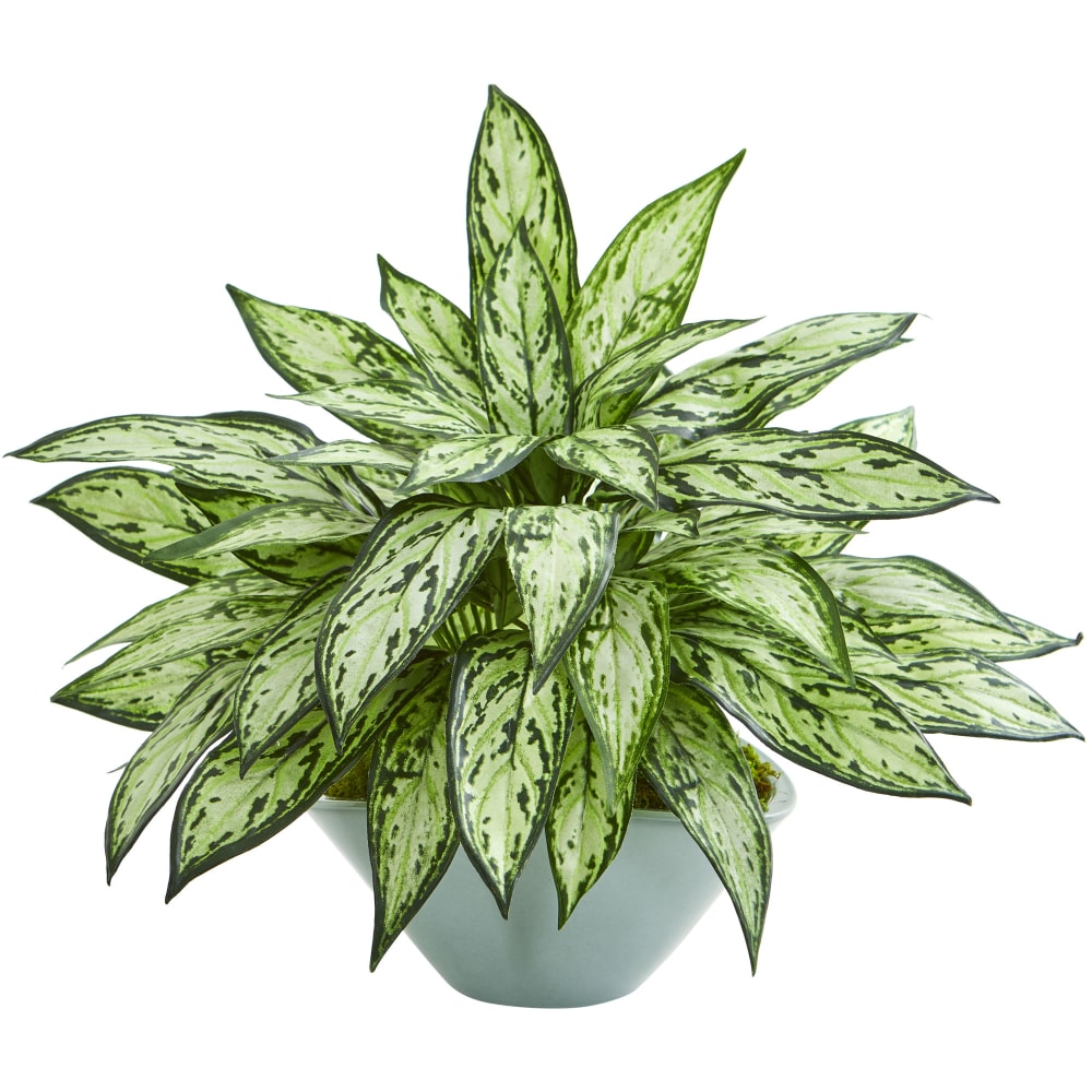 Nearly Natural 16inH Silver Queen Artificial Plant With Vase, 16inH x 21inW x 16inD, Green MPN:8367