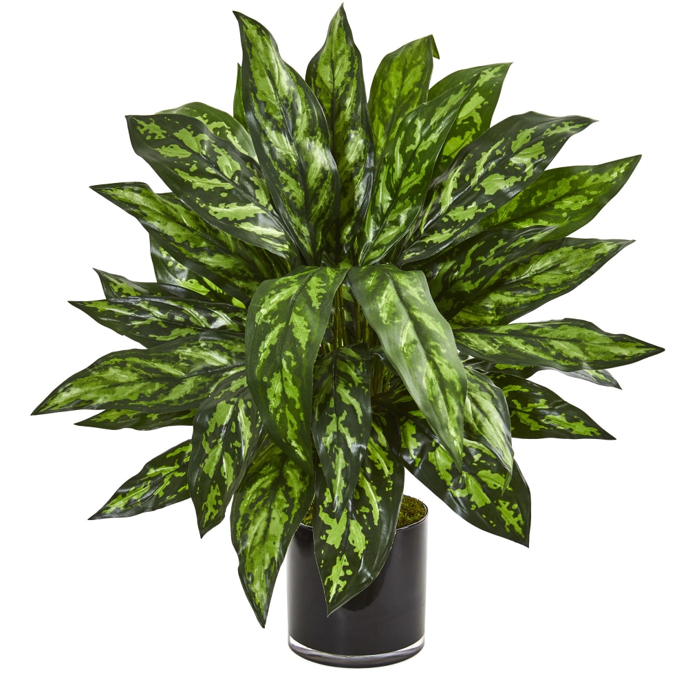 Nearly Natural Silver King 27inH Artificial Plant With Glass Vase, 27inH x 24inW x 24inD, Green/Black MPN:8415