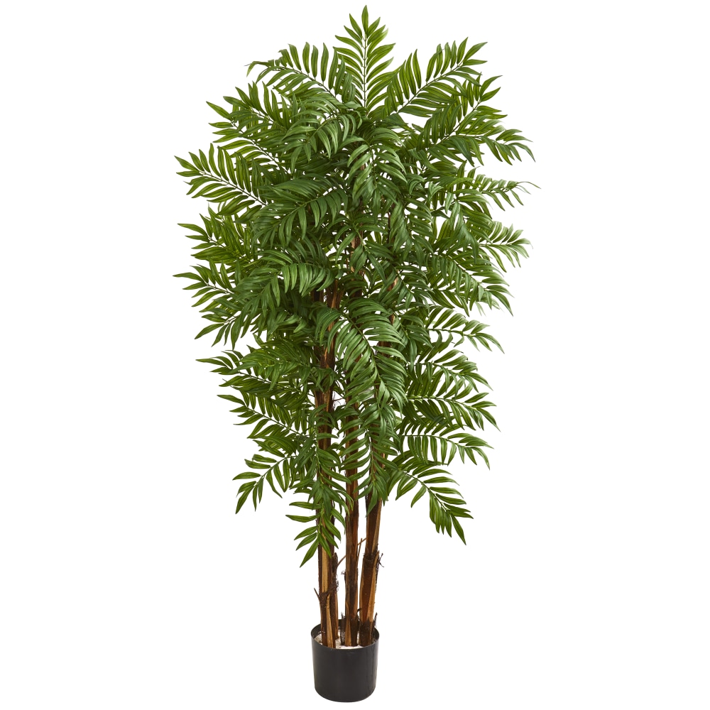 Nearly Natural 5-1/2ftH Parlour Artificial Palm Tree, 66inH x 16inW x 13inD, Black/Green MPN:9142