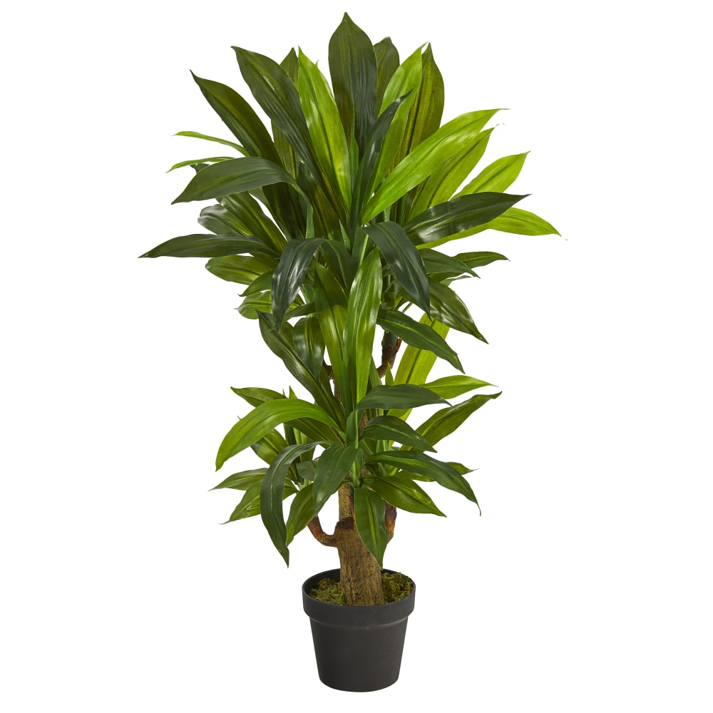 Nearly Natural Corn Stalk Dracaena 3'H Artificial Plant With Planter, 36inH x 12inW x 12inD, Green/Black MPN:P1304