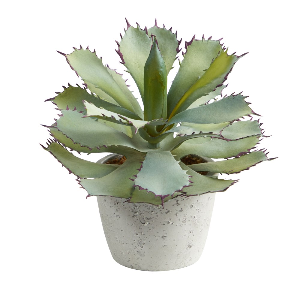 Nearly Natural Succulent 11inH Artificial Plant With Planter, 11inH x 10inW x 10inD, Green/White MPN:P1517