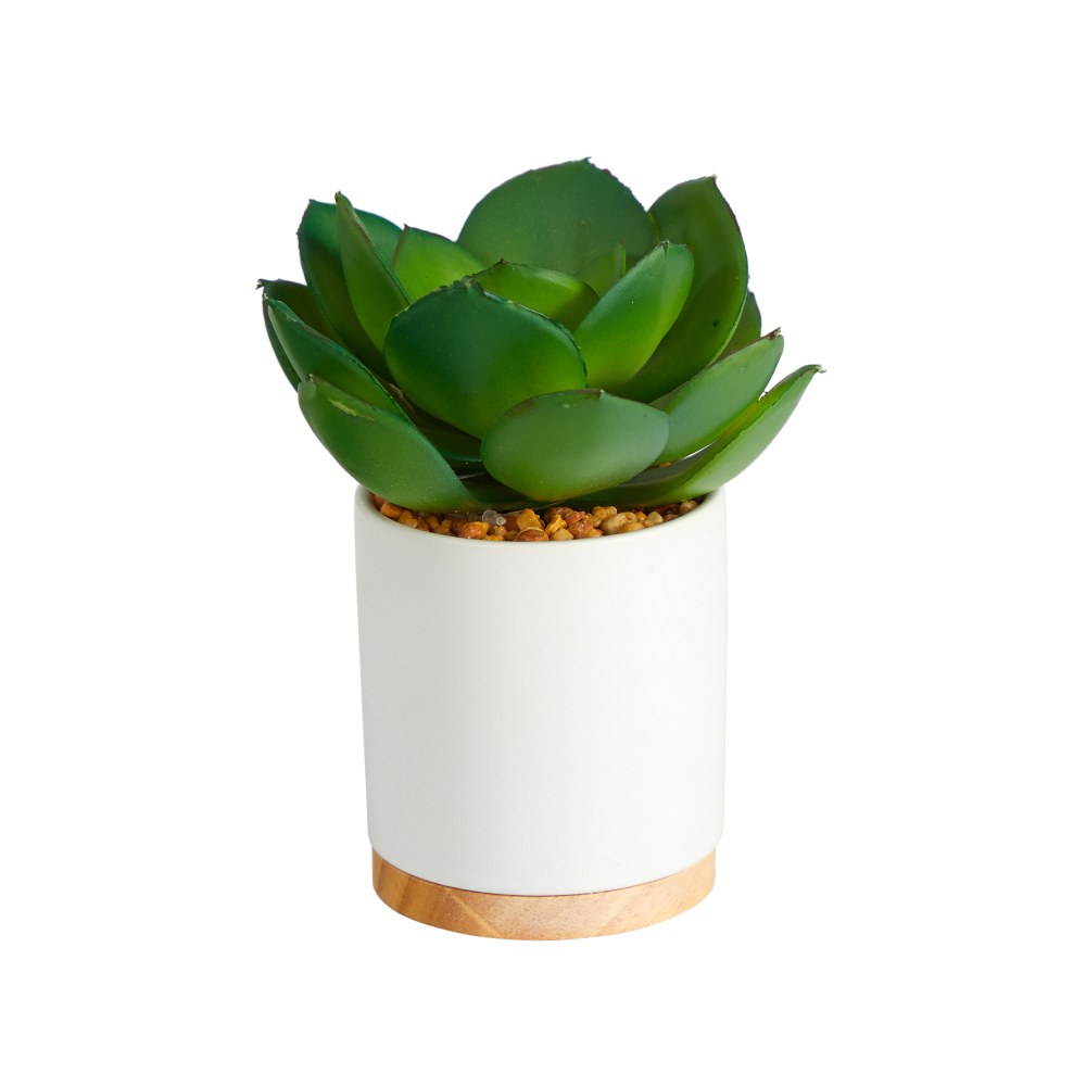 Nearly Natural Succulent 6inH Artificial Plant With Cement Planter, 6inH x 5inW x 5inD, Green/White MPN:P1660