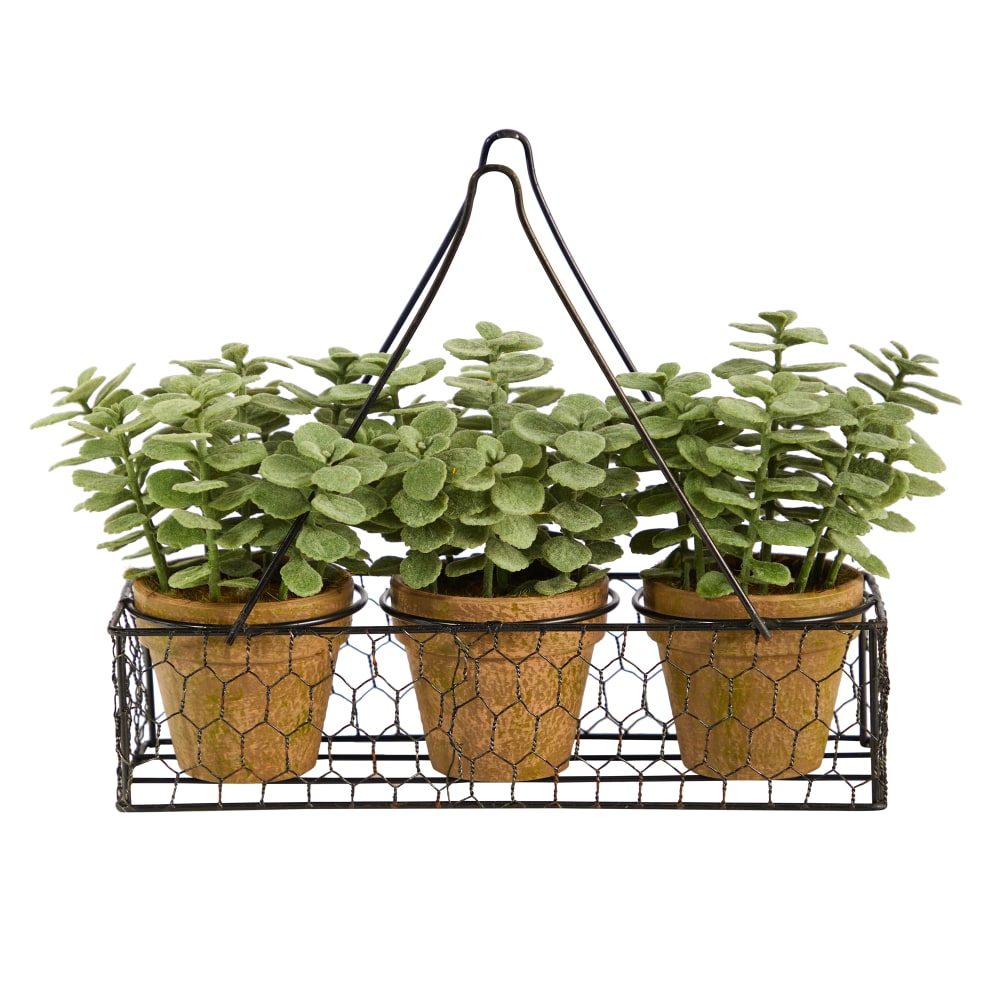 Nearly Natural Mini Jade Garden 9-1/2inH Artificial Plant, 9-1/2inH x 11inW x 4inD, Green/Brown MPN:P1661