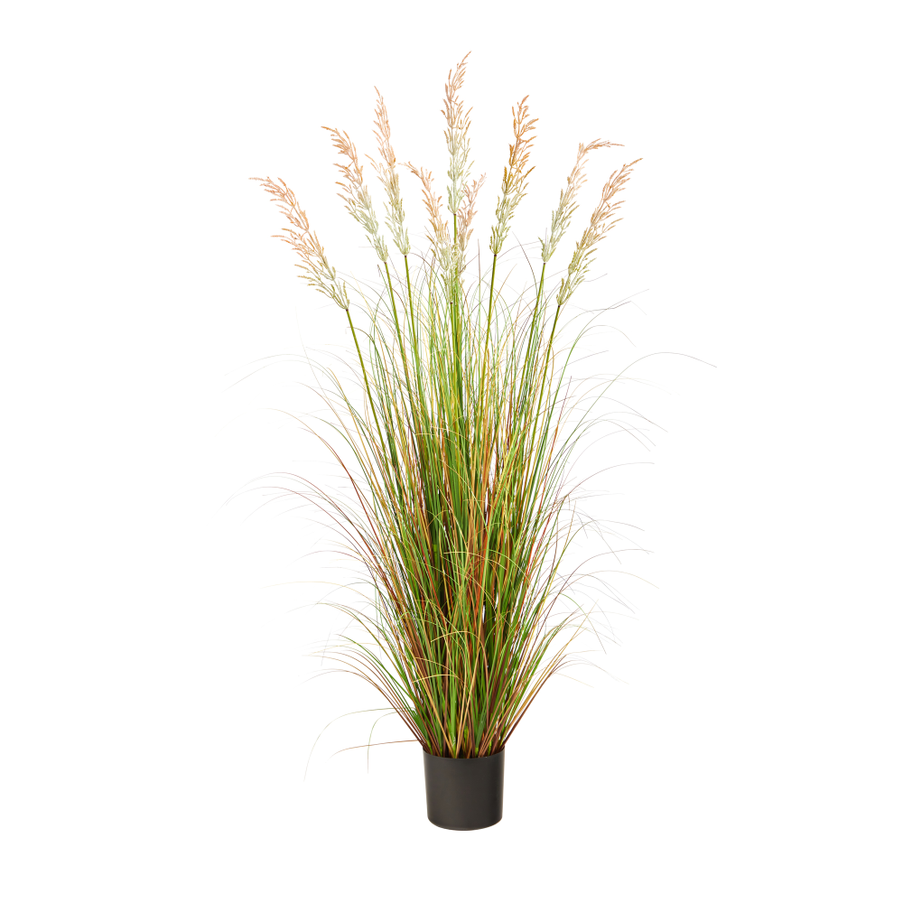 Nearly Natural Plume Grass 66inH Artificial Plant With Planter, 66inH x 30inW x 30inD, Green/Black MPN:P1682