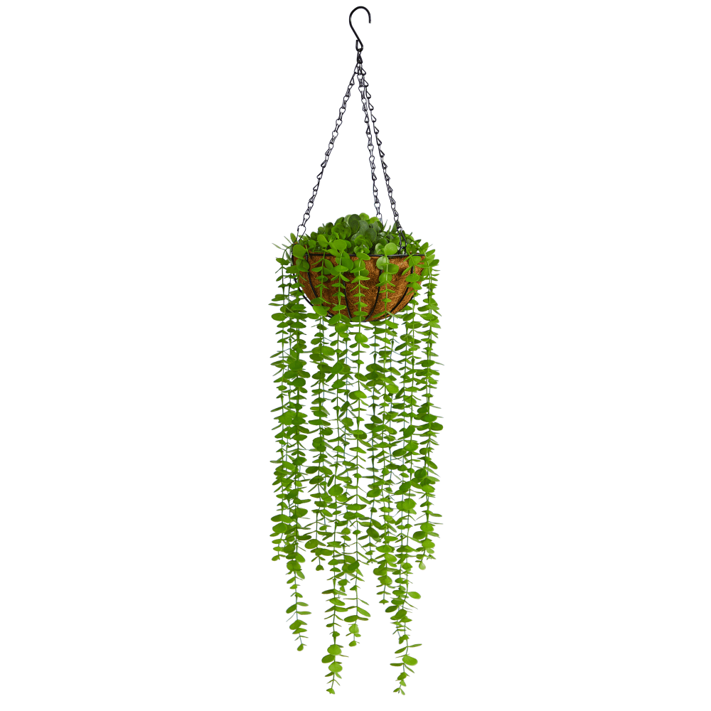 Nearly Natural Eucalyptus 36inH Artificial Plant With Hanging Basket, 36inH x 8inW x 8inD, Green/Brown MPN:P1803