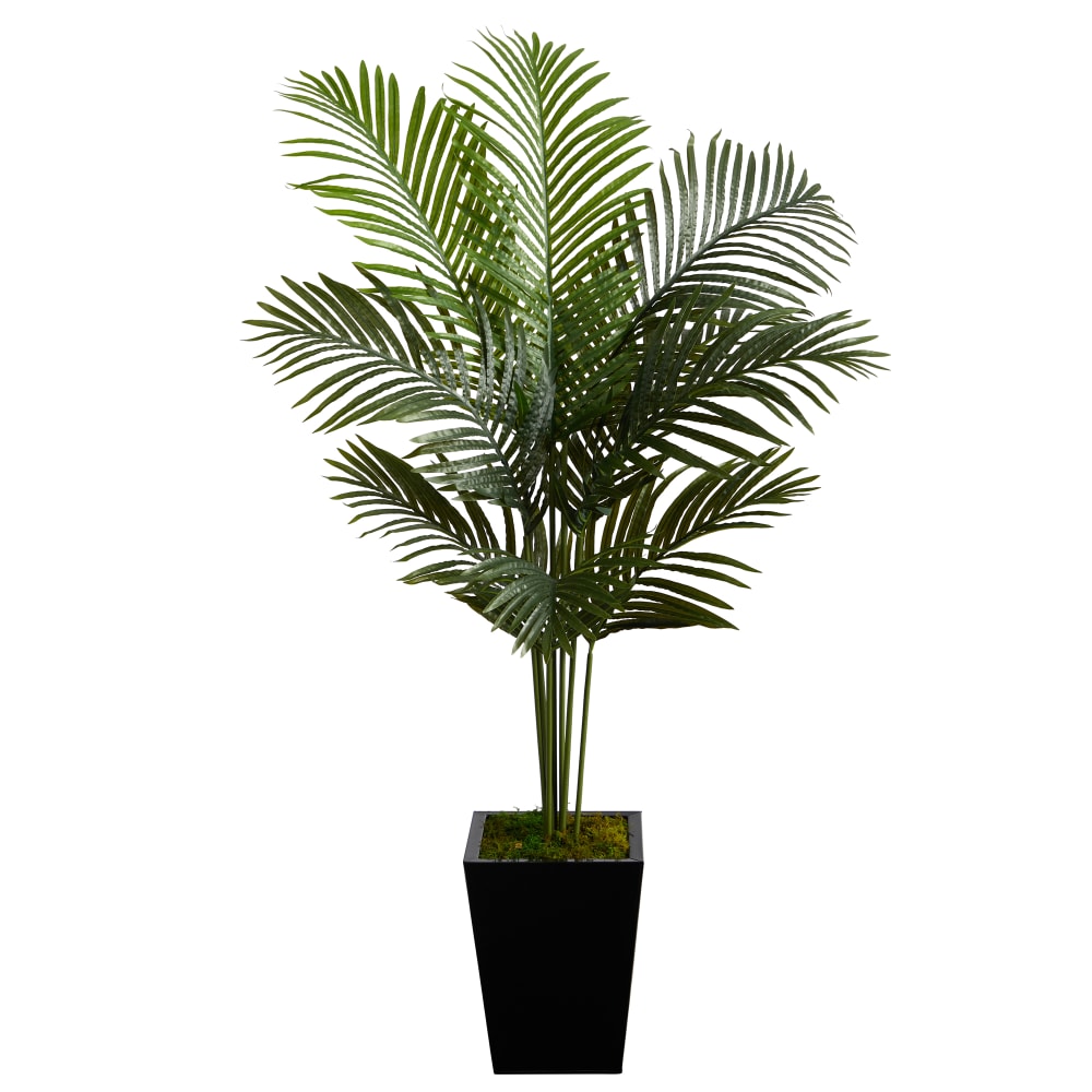 Nearly Natural Paradise Palm 60inH Artificial Plant With Metal Planter, 60inH x 35inW x 27inD, Green/Black MPN:T2585