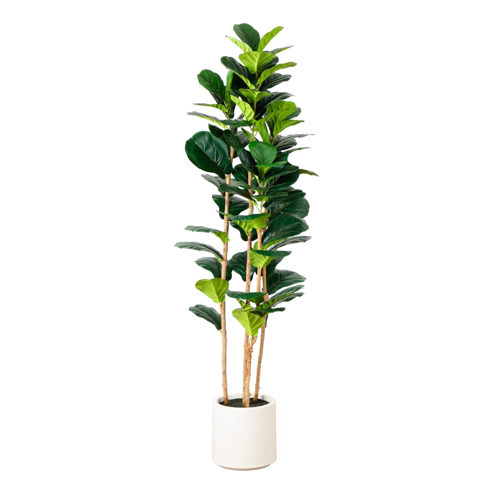 Nearly Natural 6'H Artificial Fiddle Leaf Tree With Decorative Planter, 72inH x 21inW x 21inD, Green/White MPN:T4776