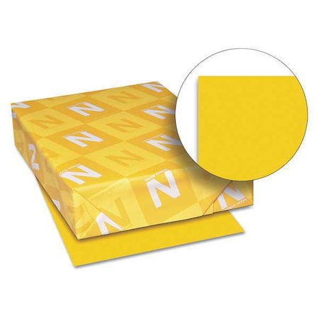 Multipurpose Paper, 8-1/2