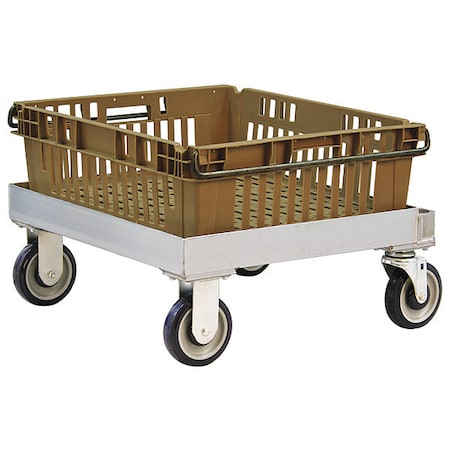 Dolly, Chillpac, 19