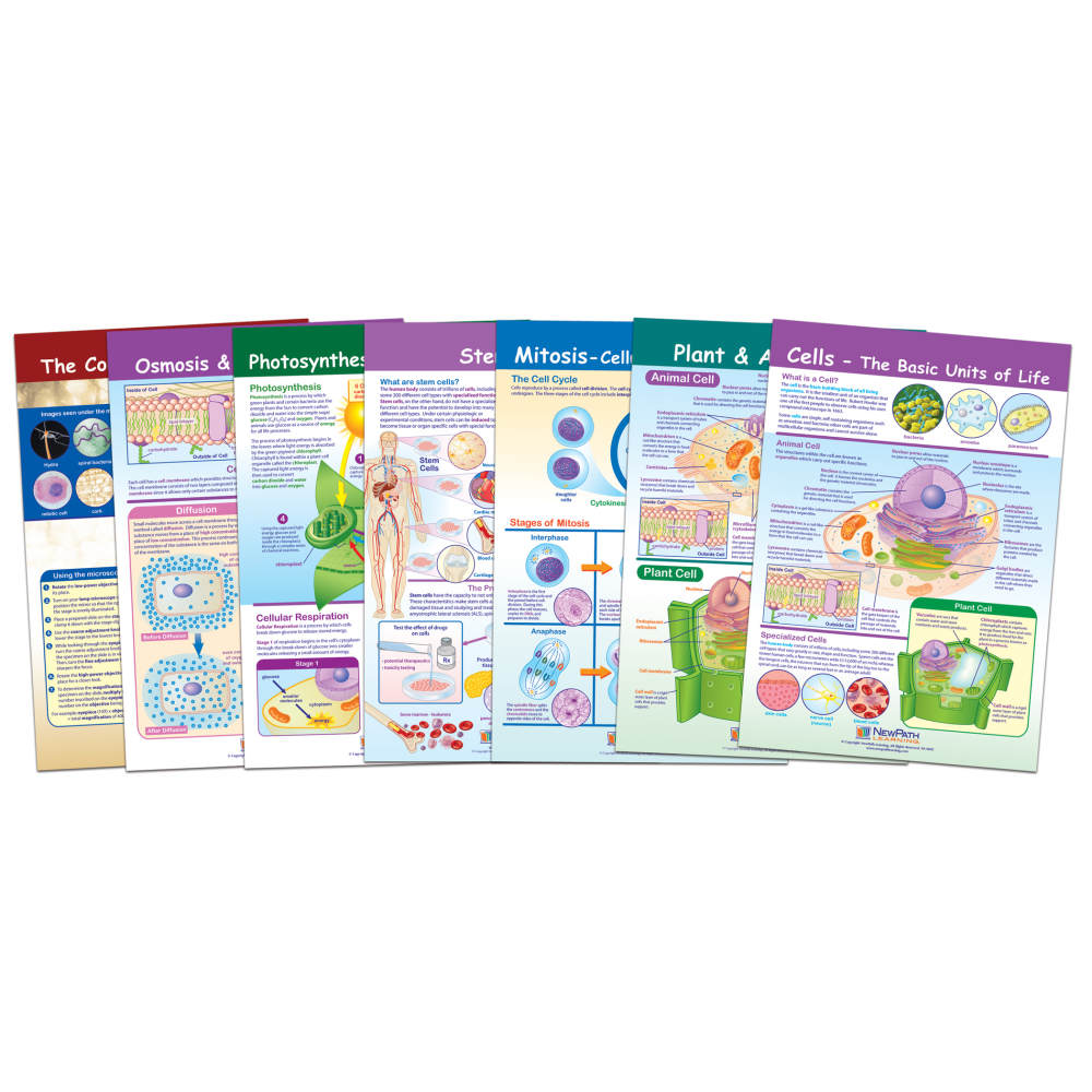 NewPath Learning Cells Bulletin Board Chart Set, Grades 3 5, Set Of 7 MPN:NP-947001