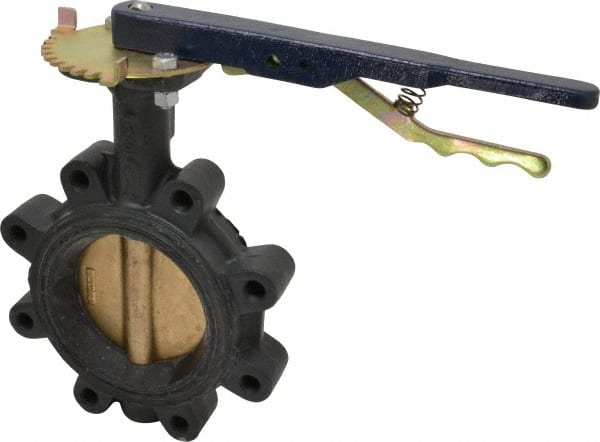 Manual Lug Butterfly Valve: 4