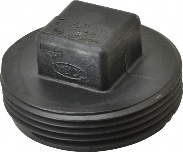 Drain, Waste & Vent Plug: 2-1/2