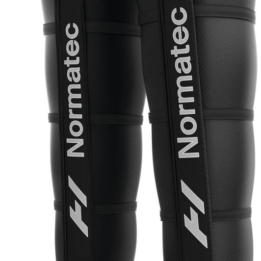 Example of GoVets Normatec category