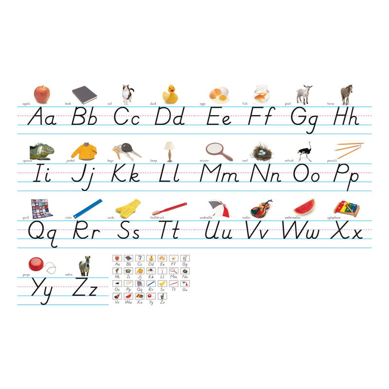 North Star Teacher Resources Photo & Modern Manuscript Alphabet Lines Bulletin Board Set, 7 5/8in X 14ft MPN:NST9010