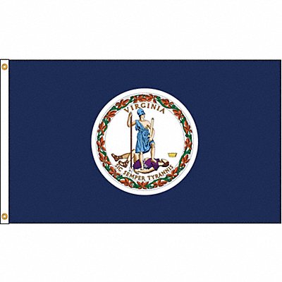 D3771 Virginia Flag 4x6 Ft Nylon MPN:145670
