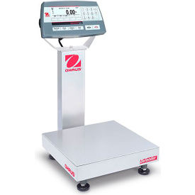 Example of GoVets Bench Scales category