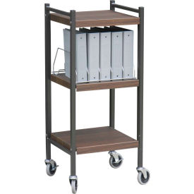Omnimed® Mini Vertical Open Chart Rack 10 Binder Capacity Woodgrain 260013-WD